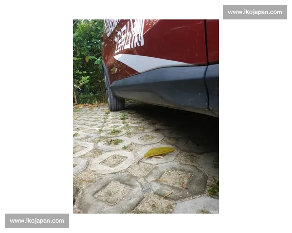 在比赛中淬炼自我收获成长与感悟的参赛心路历程分享总结与展望记